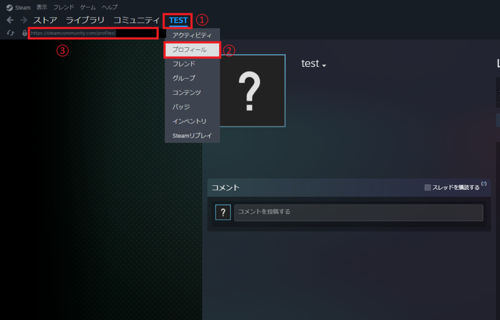 Steamプロフィール